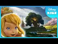 Welcome to Pixie Hollow Tinker Bell disneykids