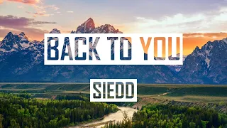 Download Siedd - Back To You  I Lyric Video MP3