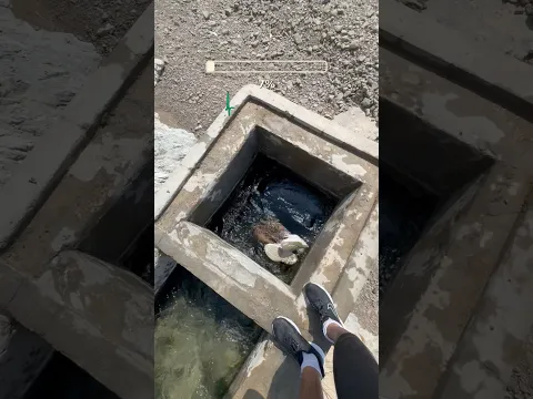 Where did he go?🫁😨 adventures #sports #flip #parkour# #tricking#idHe laughed#ideas