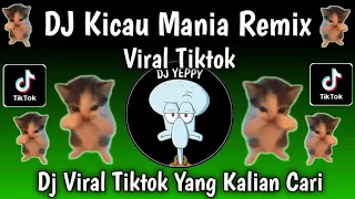 dj kicau mania remix tiktok viral terbaru 2026