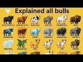 Explained All Bulls Real Mythical Bulls Comparison