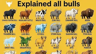 Explained All Bulls Real Mythical Bulls Comparison