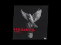Lagu Raul | Brown Beats - Haaniya (Official Audio) Latest Punjabi Song 2025