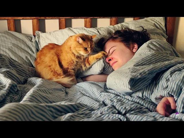 Cat on bed – OpenAI Sora AI Video Example