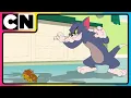 Tom \u0026 Jerry😺🐭| Run, Jerry, Run!😍| Cartoon for Kids ✨| Cat \u0026 The Mouse | @cnindia