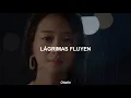 Janet Suhh - In Silence [Sub. Español]