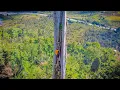 Download Lagu 5 Hari berburu nekat naik pohon beringin 80 meter ratusan tahun digunung \u0026 bakar ikan!!!  #KOOKIKO 