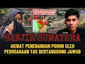Lagu BANJIR SUMATERA ! AKIBAT PENEBANGAN POHON OLEH SEBUAH PERUSAHAAN? 