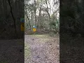 Sweetwater Preserve HIKE in 4K Gainesville Florida