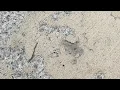 Ryan Homes Review - A 10 000 Mistake You Can Avoid