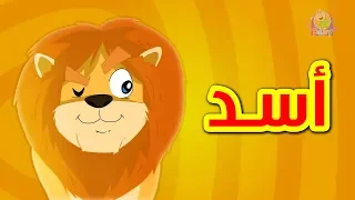 الأسد طيور بيبي Toyor Baby 