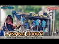Download Lagu LANANG COBRA | MELOV | DUA PUTRA | SHOW DESA GEMBOR - PAGADEN - SUBANG