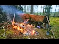 Download Lagu OVERLEVEN twee nachten in de REGENACHTIGE wildernis | Geen slaapzak, vangen en koken
