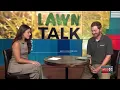 Midsummer Lawn Check Simple Fixes
