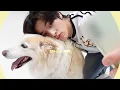 Download Lagu [EN-loG] 레일라와 함께한 특별한 하루🥰 댕댕이와 댕댕이의 만남💛 HAPPY JAKE loG🦮 - ENHYPEN (엔하이픈)