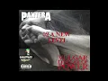 Download Lagu Pantera, Vulgar Display Of Power, Full Album (Original Tracks)