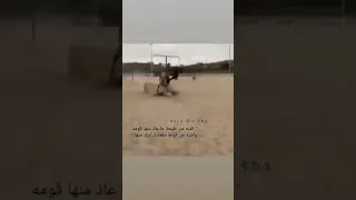 اقوم قومه جمل واطيح طيحه حصان فلاح المسردي  اقوم قومه جمل واطيح طيحه حصان فلاح المسردي