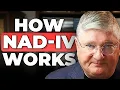 What You Don t Know About NAD-IV and Why It Matters