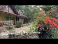 Download Lagu  Kampung terpencil dekat kali Tambak Boyo kebun Hanoman