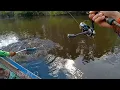 Download Lagu MANCING IKAN SUPER LANGKA DIDANAU TERLARANG // MANCING BELIDA