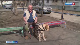 «Вести Омск» провели день вместе с добрым помощником — собакой-поводырем