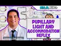 Special Senses Pupillary Light and Accommodation Reflex