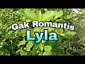 Download Lagu Gak Romantis - Lyla (Speed Up Song+ Lyrics)
