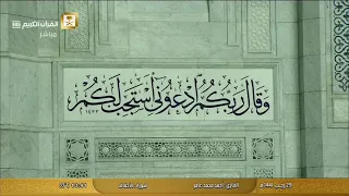 سورة الاحقاف بصوت القارئ أحمد محمد عامر دندنها