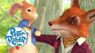 Peter Rabbit Most Greedy Animals Tales Of The Week Cartoons For Kids 