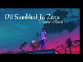 Dil Sambhal Ja Zara Phir Mohabbat Lofi mix song (slowed+ reverb) | Arijit Singh | Use Headphone 🎧🎧🎧