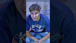 شقلبتي إحساسي انتي جنسك ايه    دندنها