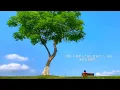 Download Lagu Musik santai di tengah sinar matahari yang lembut dan semilir angin | BGM Santai | Waktu Santai