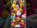 Download Lagu Jai mata di🙏🕉️🚩#foryou #sherawalimaiya