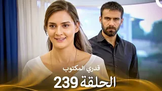 قدري المكتوب   الحلقة                                         دندنها