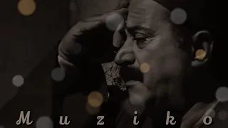 موسيقي الوتد 