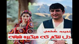 نجیب کشمی دل تنگم که میگیره شبانه 