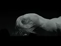 Beck, Sierra Ferrell - Ride Lonesome (Visualizer)