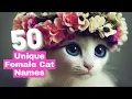 50 Unique Female Cat Name Ideas