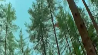 وائل جسار   نصيبي أعيش عشانك   عربي   هندي جامد دندنها