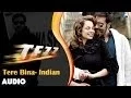 Lagu Tezz : Tere Bina - Indian Full Audio Song | Ajay Devgn | Kangana Ranaut