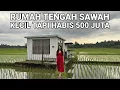 Lagu VIRAL..! RUMAH TENGAH SAWAH LAGI VIRAL DI JAWA TIMUR 