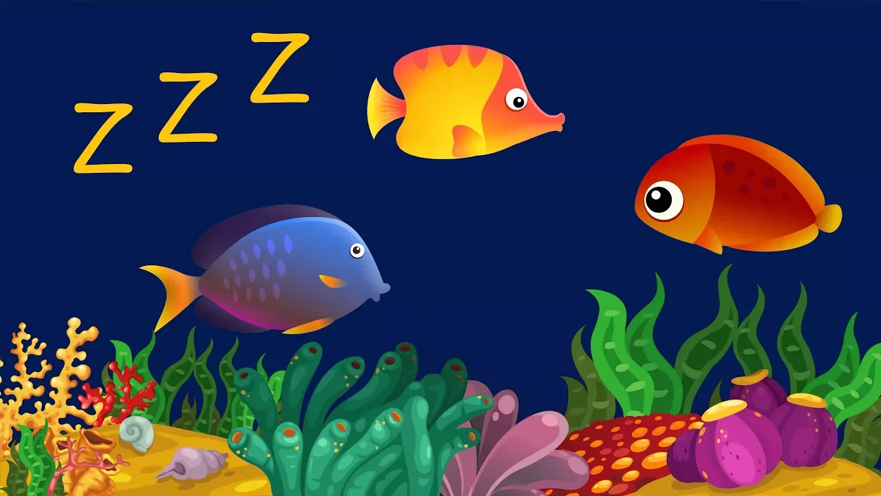 Berceuse pour Bébé Poisson Animation ♫ ❤ Bébé-dodo Berceuse pour Bébé Poisson Animation ♫ ❤ Bébé-dodo