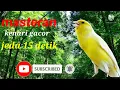 Download Lagu masteran kenari jeda 15 detik