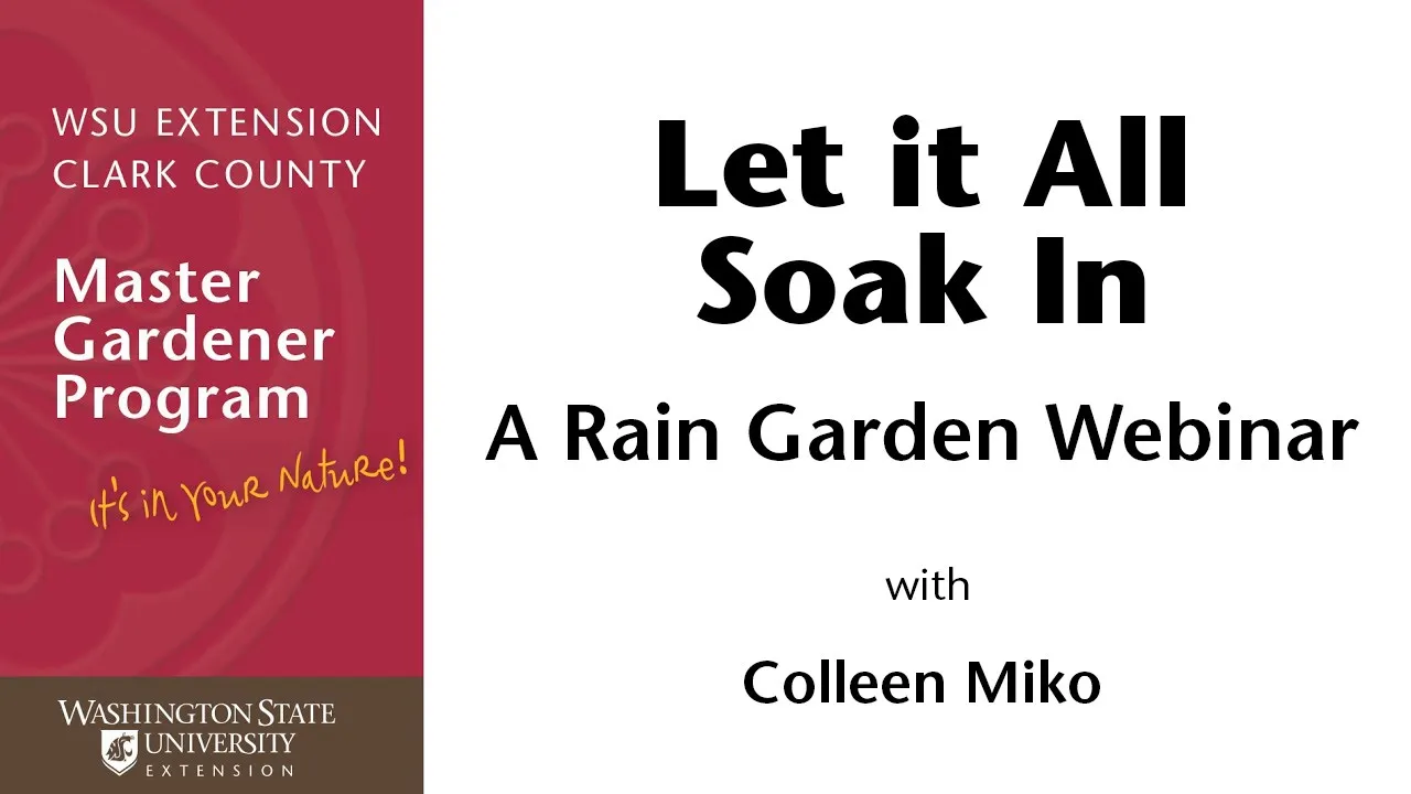 Let it All Soak In: a Rain Garden Webinar
