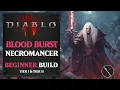 Diablo 4 Necromancer Build - Blood Surge Leveling Build