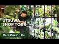 UTSUWA Botanical Design Shop Tour Ep 427