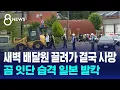 Download Lagu 새벽 배달원 끌려가 결국 사망…곰 잇단 습격 일본 발칵 / SBS 8뉴스