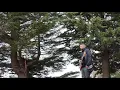 Chady Chemaly - شادي الشمالي (Cover)  B albi dalli/ بقلبي ضلّي La trouhi/ لا تروحي