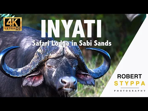 Download MP3 Inyati Game Lodge (South Africa) : One of the best safari lodges in Sabi Sands / Kruger Park