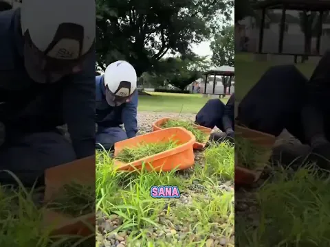momen lucu ketika dari indo kerja keluar negri bersihin rumput ‼️‼️#indonesia #kerja #ngakak #shorts